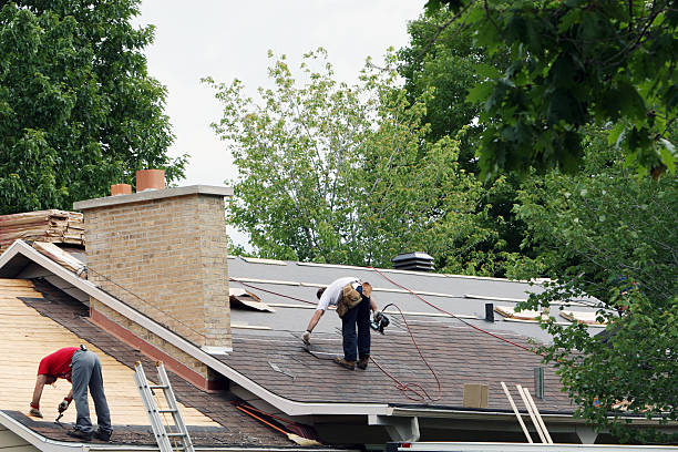 Best Roof Gutter Cleaning  in Treasure Island, FL